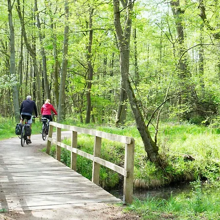 Hafenpanorama - Urlaub An Der Mueritz Apartamento Waren (Mueritz)